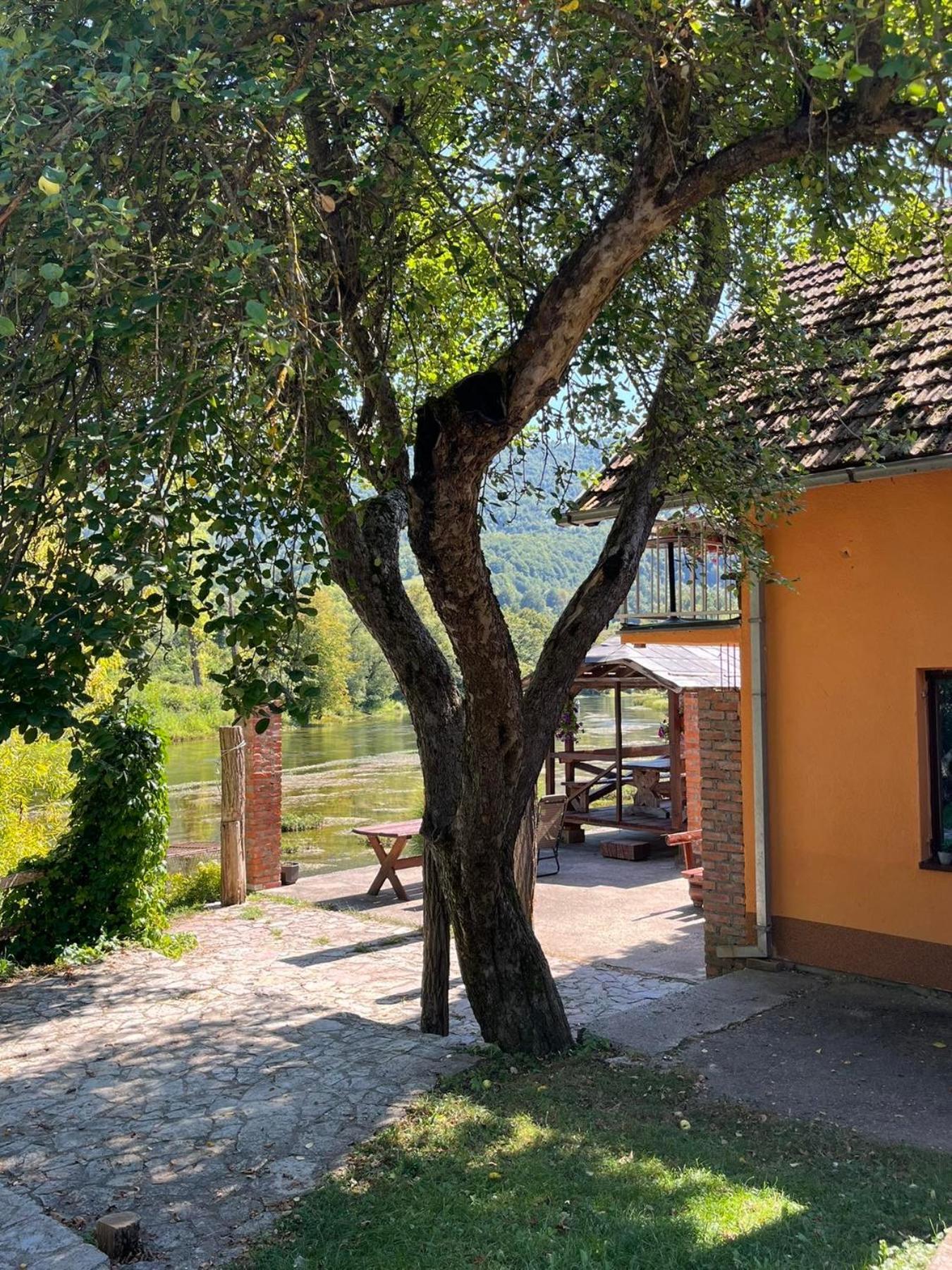 Bed And Breakfast Family Djukic Sipovo Kültér fotó