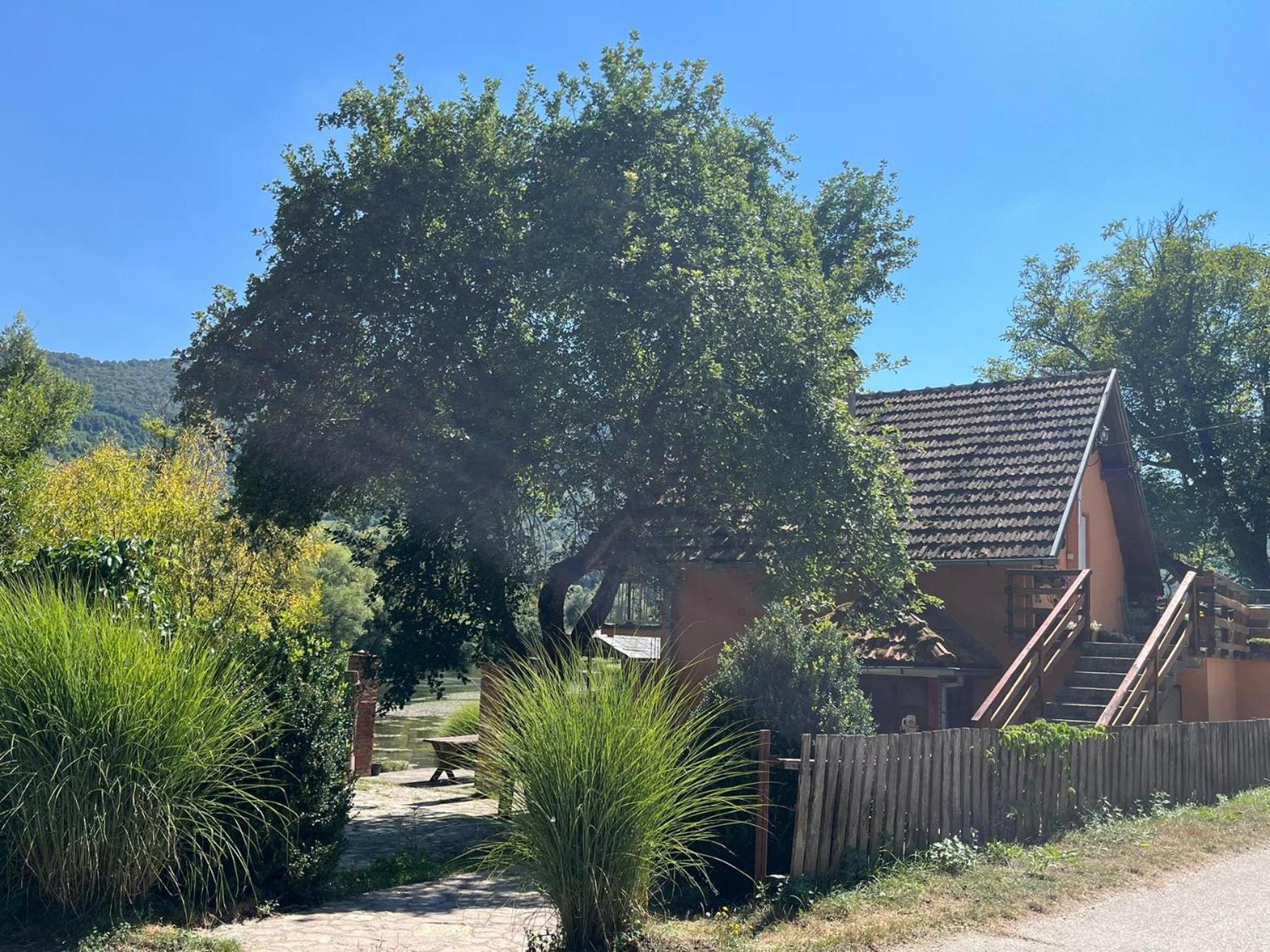Bed And Breakfast Family Djukic Sipovo Kültér fotó